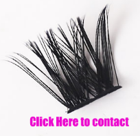Đạt được vẻ ngoài ấn tượng với cụm mi và phần mở rộng mi mềm mại
